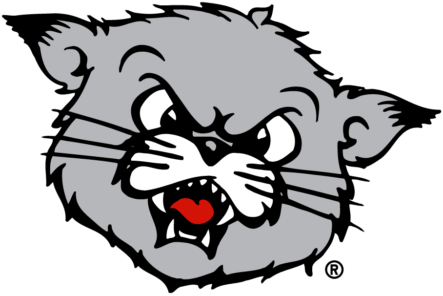 Cincinnati Bearcats 1990-2005 Partial Logo DIY iron on transfer (heat transfer)